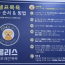 올리스 펫 호텔 네이버블로그
