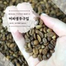 커피 생두 구입 에티오피아 레베투 G1 내추럴 홈로스팅 후기