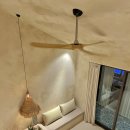 더 비치하우스 이미지