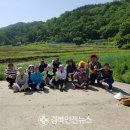 구미시, 오로정승마을 농촌일손돕기 실시