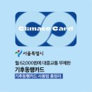나만 없어 기후동행카드🌎_사용법, 실물카드 판매처
