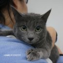 해동물병원 이미지