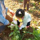 민경농장 이미지