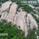 용현이네 이미지