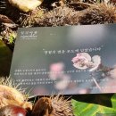일리아팜 네이버블로그