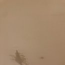 우림아파트 티스토리
