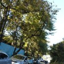 의왕 SK셀프 주유소 이미지