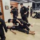 국술원합기도
