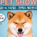 프리미엄펫 - 강동구 구천면로 160 | 프리미엄펫