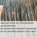 뷰티어스 - 영천시 문외2길 33 | 뷰티어스