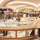 파크독&살롱 이미지