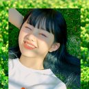 코코로 이미지