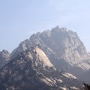 육하원칙 이미지