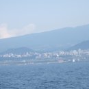 동아 행정사 사무소 이미지