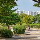 부평공원로 이미지