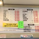 날으는산오징어 이미지