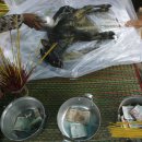 묘한 세계 이미지