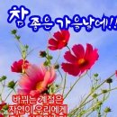 이상기온 이미지