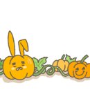 라떼펫살롱 이미지