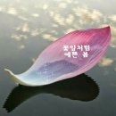 이플베이커리&카페