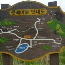 토종오리 더덕구이 이미지