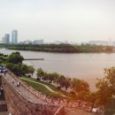 행정용 20 이미지