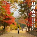 대천교회 맞은편 정자 | 서울 단풍 명소 창덕궁 후원 예약 방법 | 왕실 비밀정원에서 만난 가을 숲길