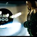 하이엔드 독 이미지