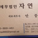 세무법인자연 이미지