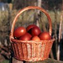 THE EXTRA-RUSSET-RED EGG OF THE MARANS 마란 종의 특별한 적황갈색 달걀 (5) 이미지