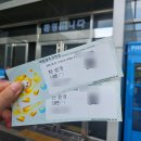 제너스피시방 광주상무점 | [광주] 2025.08.02 제주 여행 가기 전 짧은 광주 당일치기 나들이 (국립광주과학관) (with. 근몽)