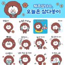 제주처럼 이미지