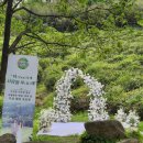 송림주막 | 하동 가족 여행 당일치기 가볼만한 곳 하동송림, 최참판댁, 동정호, 하동야생차밭
