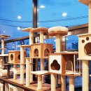 폴리파크 수성교점 이미지