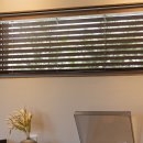 스테이 희로 이미지