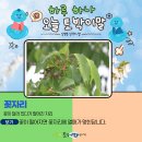우리꽃자리 이미지