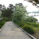 다사중학교 이미지