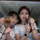 잔비어 이미지