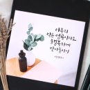 초월캘리