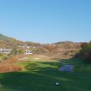 더플레이어스 골프스튜디오 이미지