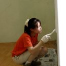 일양 이미지