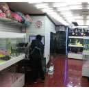 봄봄펫살롱 이미지