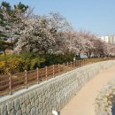 베르사체가구