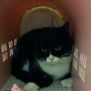 인헌동-9 이미지