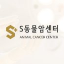 반려동물암센터