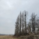 김포평화누리길 3코스 이미지