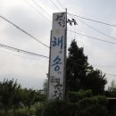 해송분식 이미지