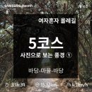 [제주도 올레길 5코스] 구간별 완주 후기① : 남원포구~국립수산과학원