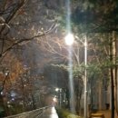 (주)준여행사