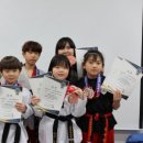 고려대 김세원 태권도 이미지